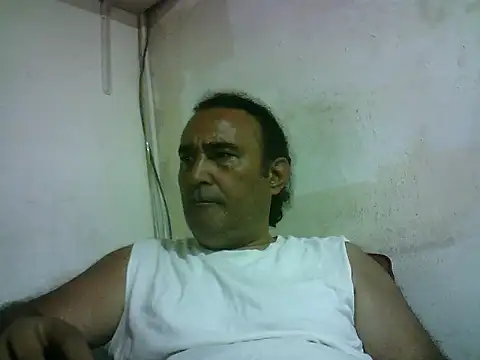 عرض كام enginbasar