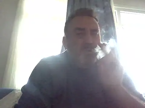 enginbasarn Webbikameraesitys