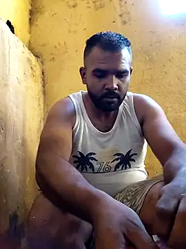 Lion_meisn Webbikameraesitys