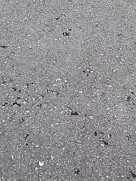 frecho-24 ওয়েবক্যাম শো