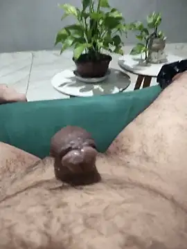 Show de webcam de markusx215