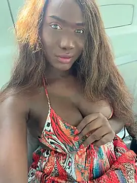 blackhotpartyts – webcam-show