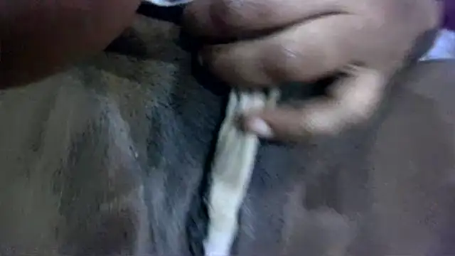 mylebrowmnのウェブカメラショー