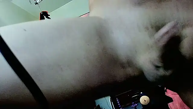 ROCKHARDDADDY86 Show in webcam