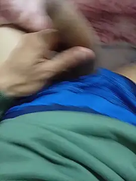 Kleeber webcam show