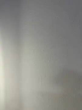 _vaness 网络视讯表演