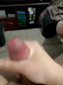 vorhauttree Webcam-Show