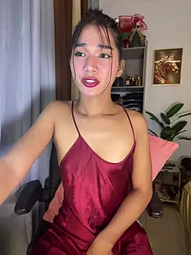 Ts_alison69 网络视讯表演