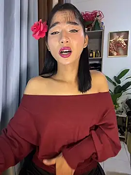 Ts_alison69 网络视讯表演