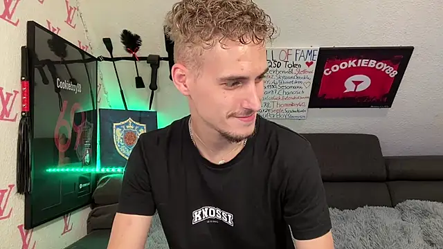 Cookieboy88's Webcam Show