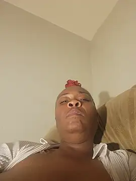 הופעת וובקאם של AllLeggs
