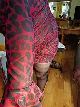 BrividoFelino Show Webcam