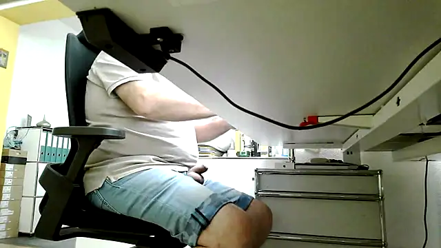 911rsrgelb Webcam-Show