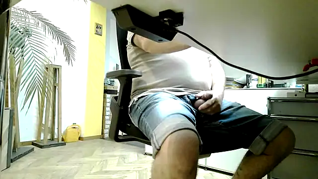 Show webcam de 911rsrgelb