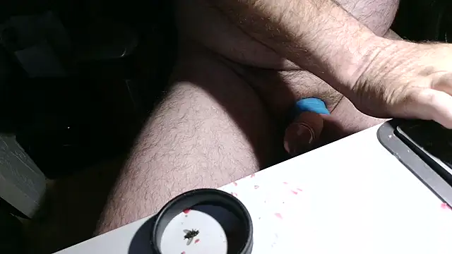 911rsrgelbn Webbikameraesitys