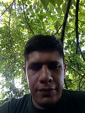 Pokazy przed kamerką – alegordis