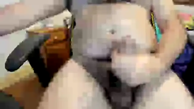 supninja_777 Pertunjukan Webcam