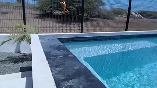 Wendysexyx's Webcam Show