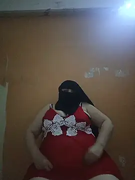 Dallou3an Webbikameraesitys