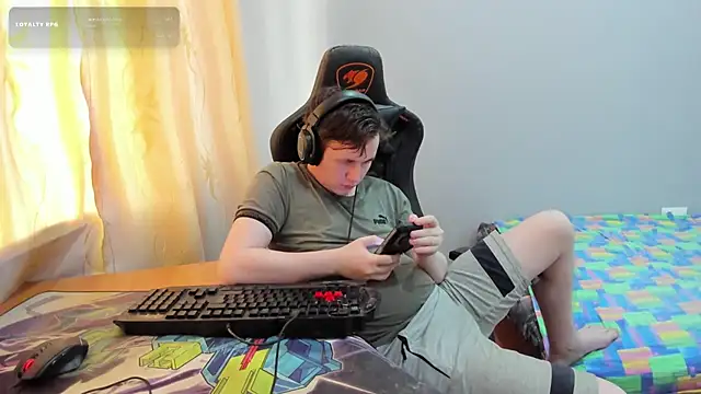 iliaskrisloven Webbikameraesitys
