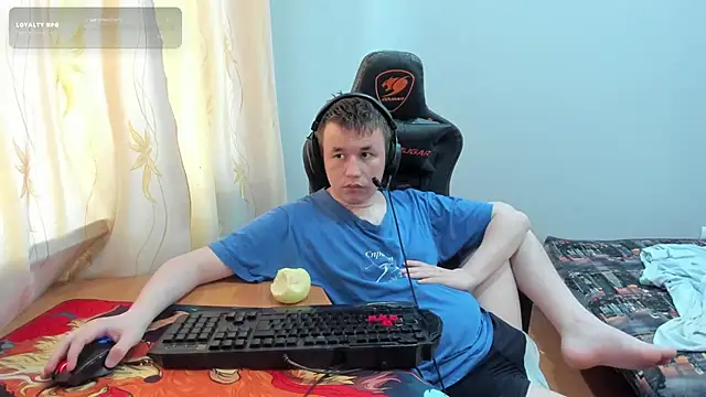 iliaskrisloven Webbikameraesitys