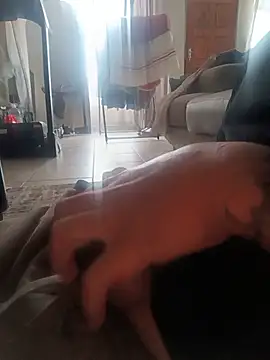 Leratolalebo Webcam-Show