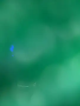 عرض كام saracaball_