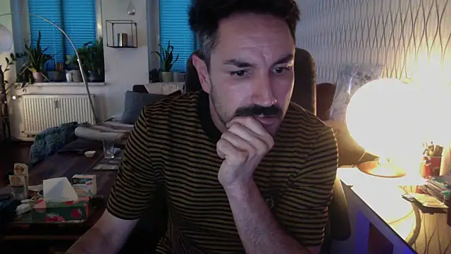 Show webcam de tomz0819