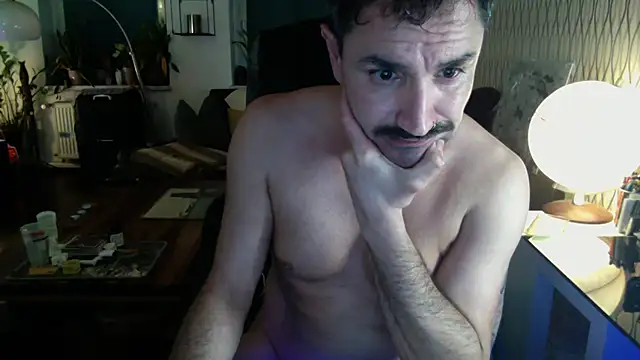 Show webcam de tomz0819