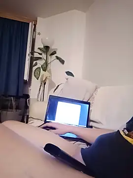 Show webcam de Marek3777