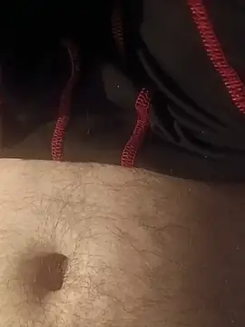Show Webcam de crazycam619