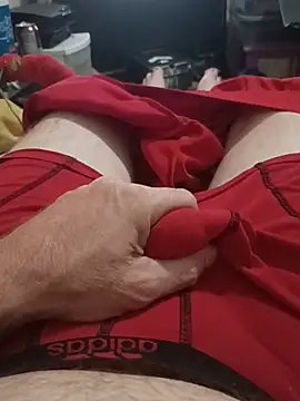 Show Webcam de crazycam619