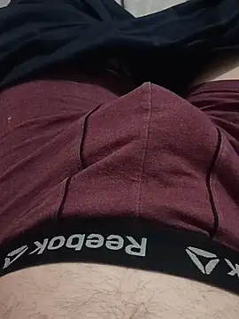 Show Webcam de crazycam619