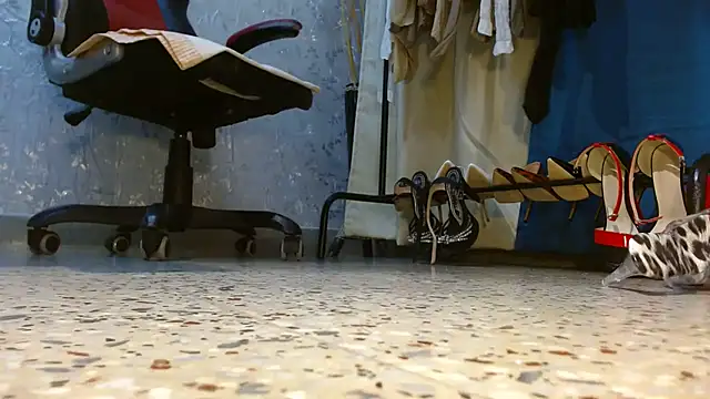 Pertunjukan Kamera Web Samantabrown_