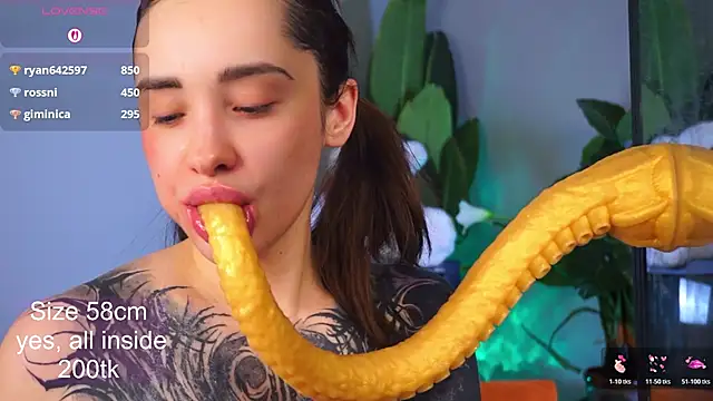 EvaCanton webcam show