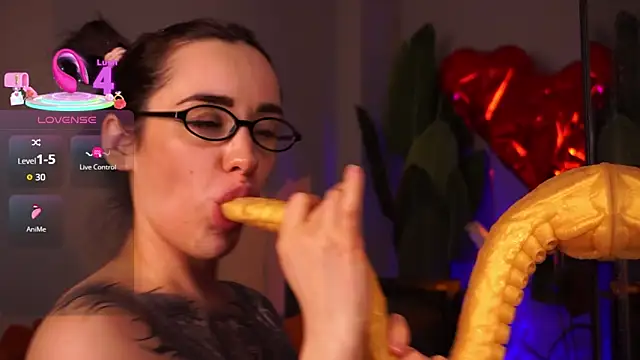 EvaCanton Show Webcam