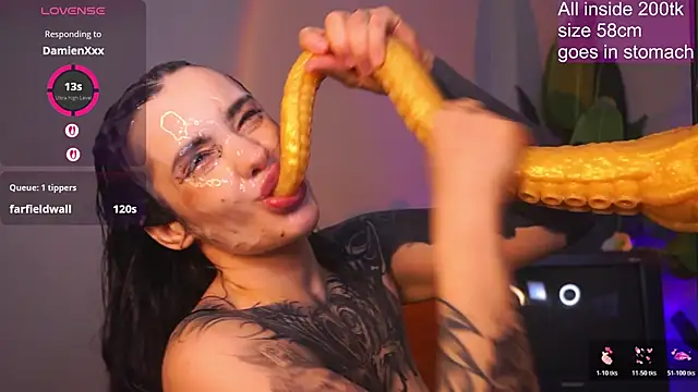 عرض كام EvaCanton