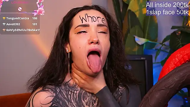 عرض كام EvaCanton
