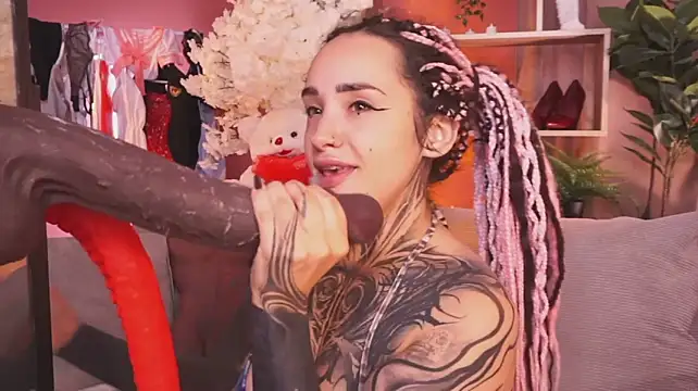 عرض كام EvaCanton