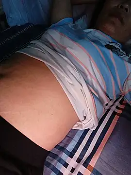Pertunjukan Kamera Web Doremon_95