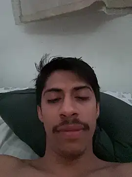 culitotragon24 Pertunjukan Webcam
