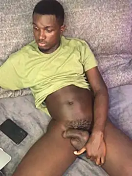 Show Webcam de timtirry