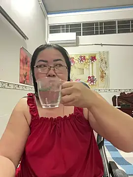 Alinat_n Webbikameraesitys