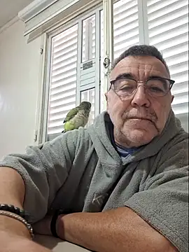 darialmas Webcamshow