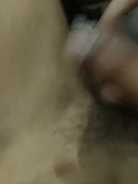 aarumnan Webbikameraesitys