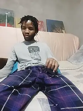MrD_TSA012n Webbikameraesitys