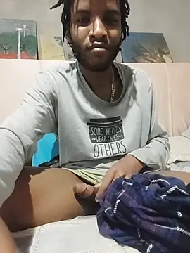 MrD_TSA012n Webbikameraesitys