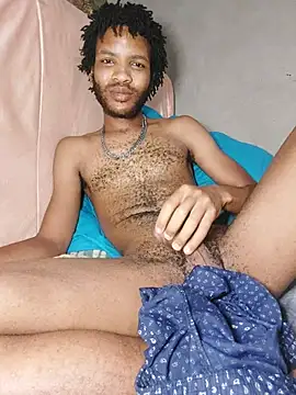 MrD_TSA012n Webbikameraesitys