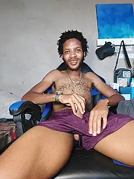 MrD_TSA012n Webbikameraesitys