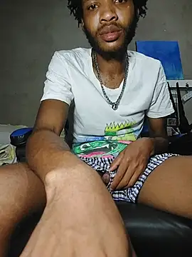 MrD_TSA012n Webbikameraesitys